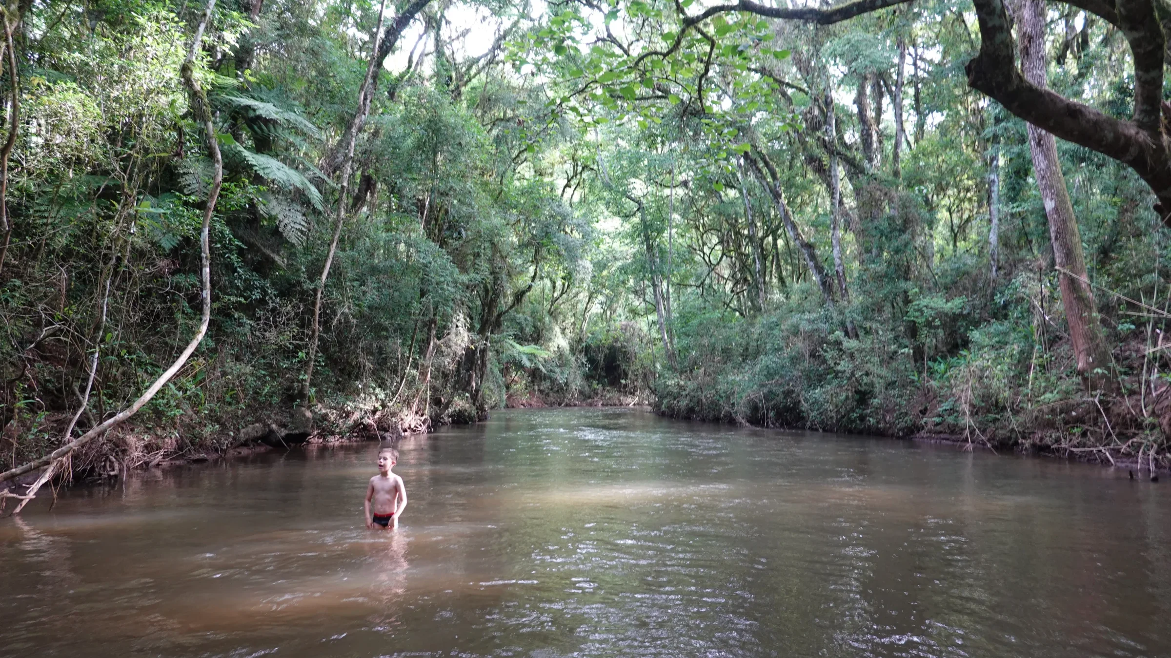 Pessoa caminhando em meio ao rio sob dossel da floresta