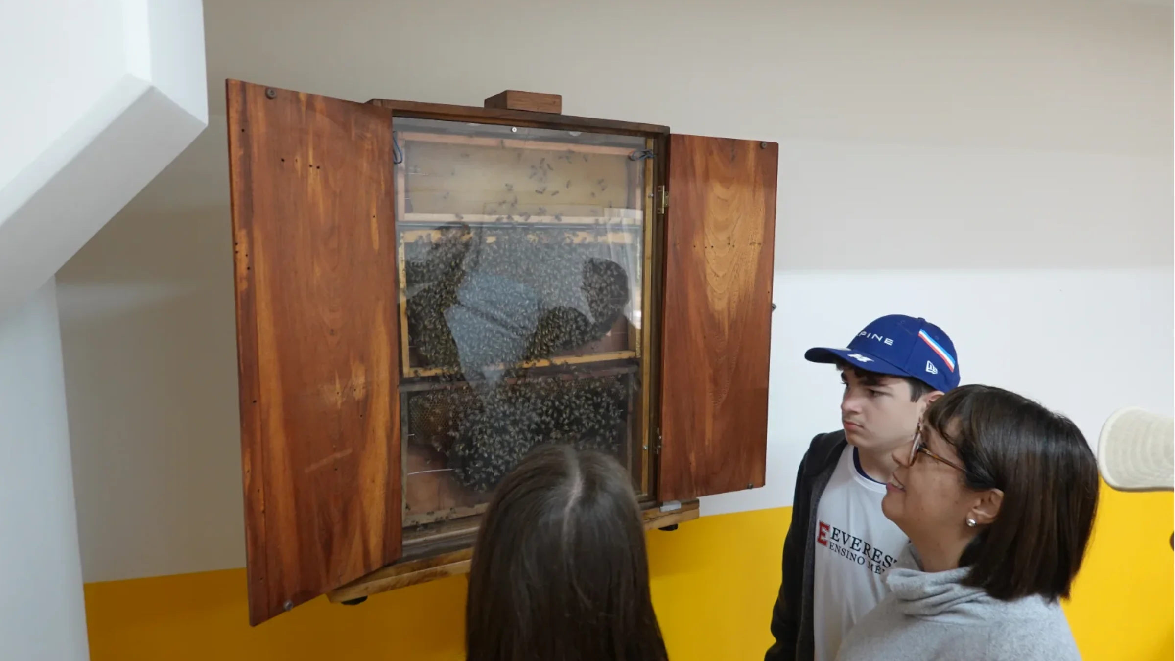 Visitantes observando colmeia em caixa de vidro