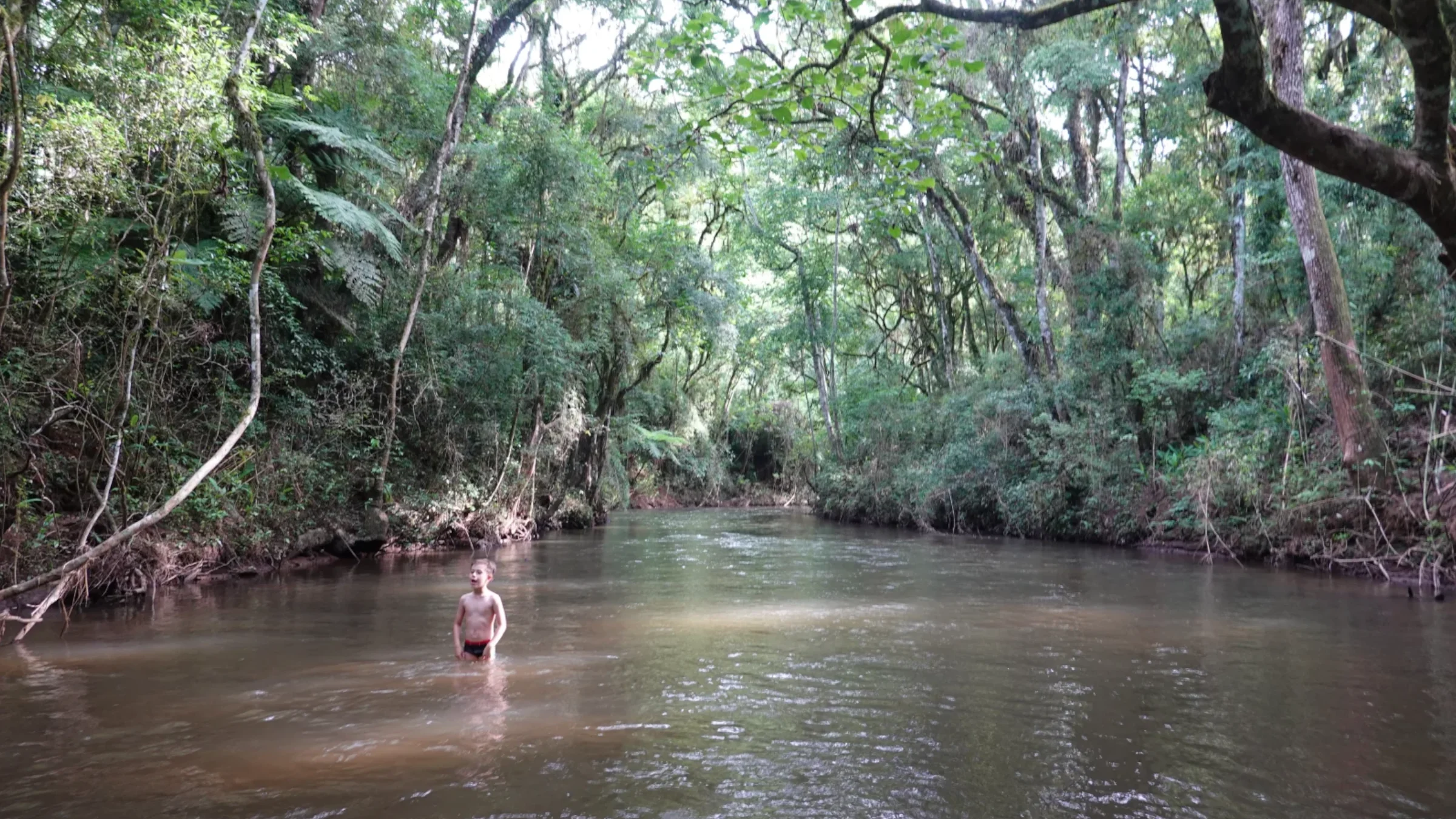 Rio Açungui sob dossel de mata atlântica