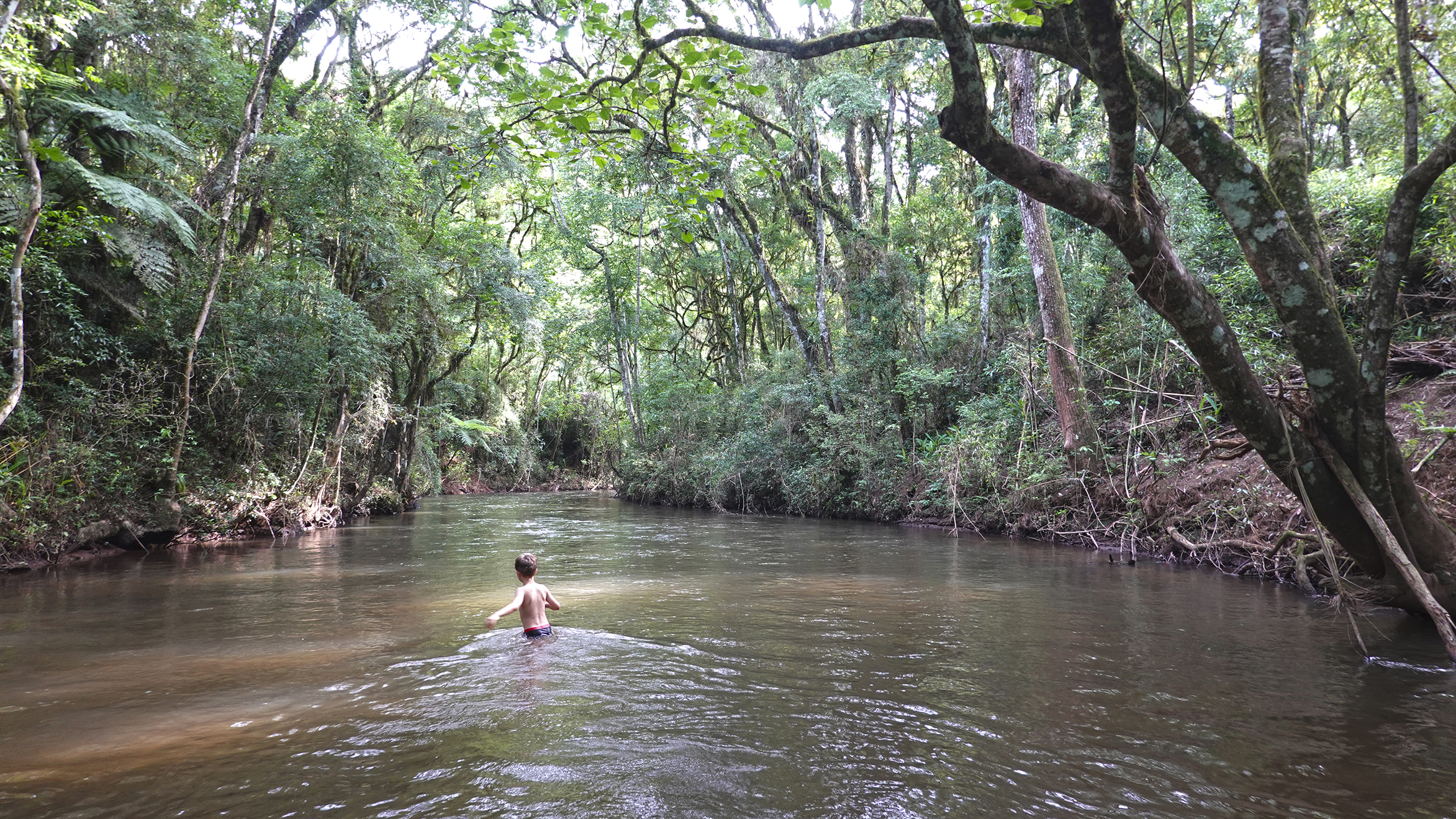 Rio Açungui sob dossel de mata atlântica